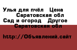 Улья для пчёл › Цена ­ 700 - Саратовская обл. Сад и огород » Другое   . Саратовская обл.